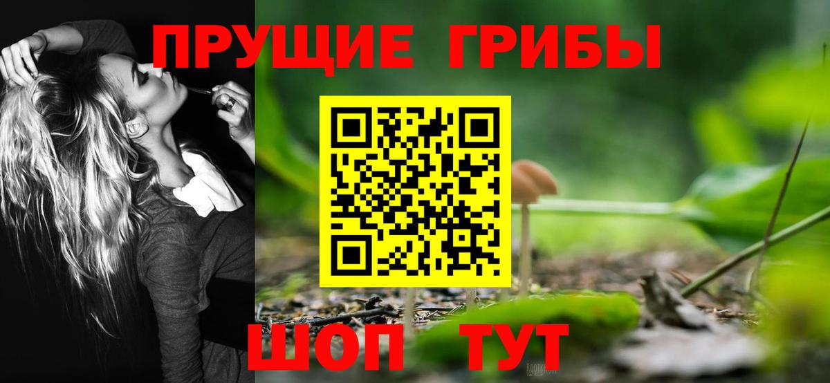 Псилоцибиновые грибы Cubensis Сафоново