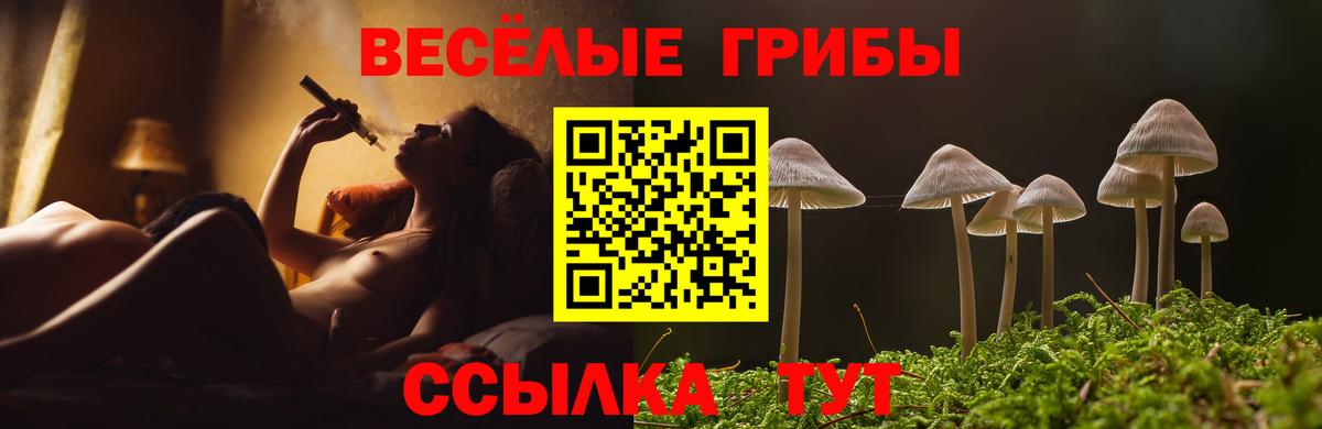 Галлюциногенные грибы Psilocybe  Вход с VPN  купить наркотик  Сафоново 